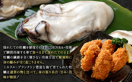 生食用牡蠣 Emperor Oyster 12粒 Sサイズ　牡蠣 かき