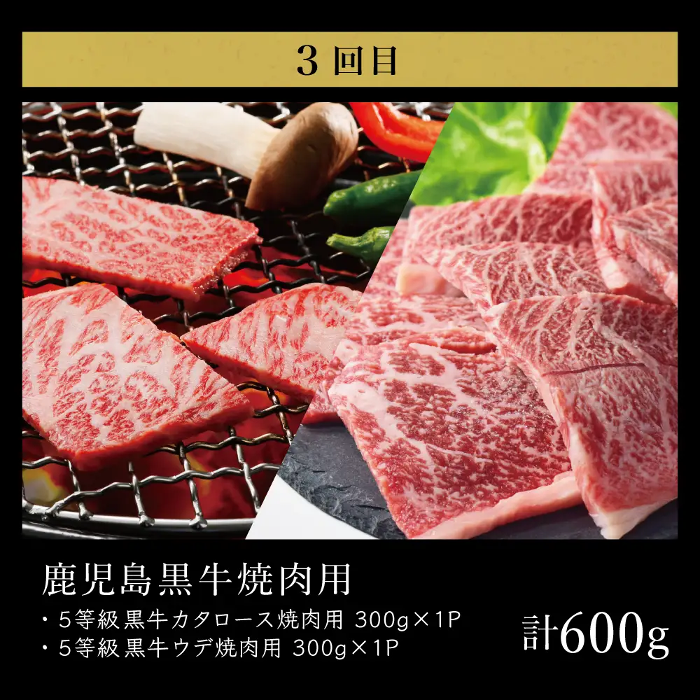 【JA食肉かごしま】鹿児島黒牛お試し定期便（全3回） 和牛日本一の「鹿児島黒牛」 お肉 ステーキ すき焼き しゃぶしゃぶ 国産 黒毛和牛 和牛 牛肉 冷凍 定期便 JA食肉かごしま 南さつま市