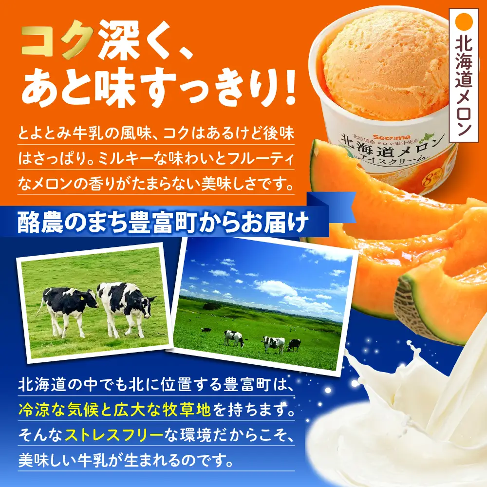 とよとみ牛乳 北海道メロンアイスクリーム 110ml×12個