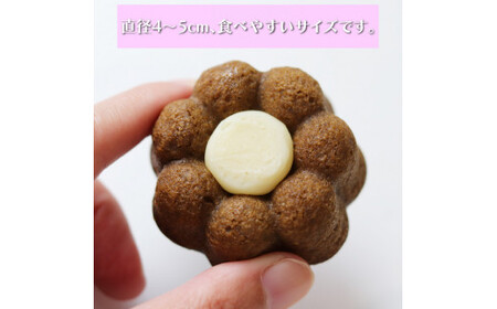 【ふるさと納税】＜おかしの家Repos(ルポ) さかわティグレ＞焼き菓子 個包装 フィナンシェ マドレーヌ リングケーキ 佐川茶 焙じ茶 ほうじ茶 ギフト プレゼント 化粧箱入 菓子職人手作り 保存料不使用【常温】チョコレート ガナッシュ 牧野富太郎 らんまん