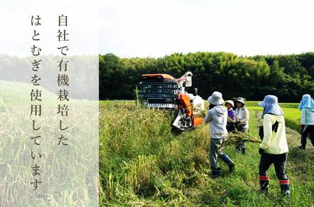 はとむぎ茶 活性はとむぎ美人茶 有機 お徳タイプ180g （3g×60袋） × 6個セット 有機栽培 35-031