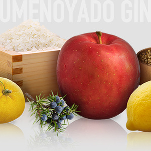 UMENOYADO GIN （ポーションタイプ） 2箱セット 梅乃宿酒造 44度 ジン【umyd037】
