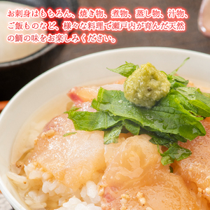 瀬戸内産 天然真鯛 約1.5kg（500g×3匹/鱗・内臓処理） 鯛 天然鯛 真鯛 天然 鮮魚 下処理済 瀬戸内 広島県 三原市　154001