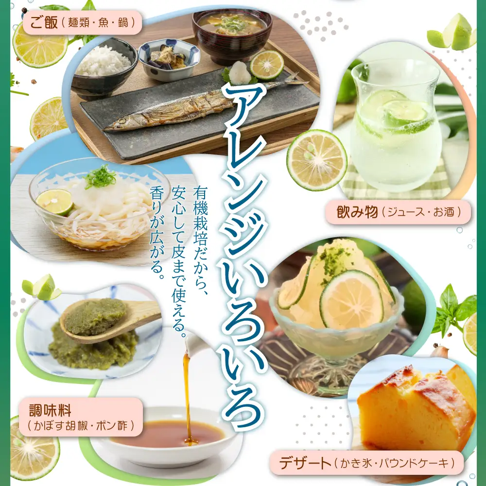 カットしてわかる魔法の香り「有機栽培かぼす」 2㎏箱入り K1