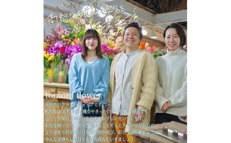 《3ヵ月定期便》季節の生花カラーバスケットフラワーM 