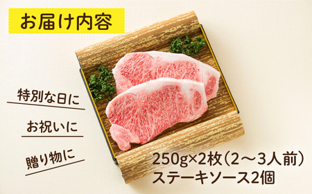 長崎和牛サーロインステーキ 500g [ECT009] ステーキ 牛肉 焼肉