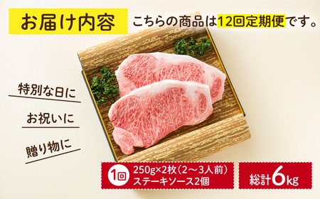 【12回定期便】 長崎和牛 サーロインステーキ 250g×2枚 [ECT012]  国産 長崎和牛 和牛 サーロインステーキ サーロイン ステーキ さーろいん 2枚 牛肉 冷凍 ソース付き ギフト お祝い 定期 定期便