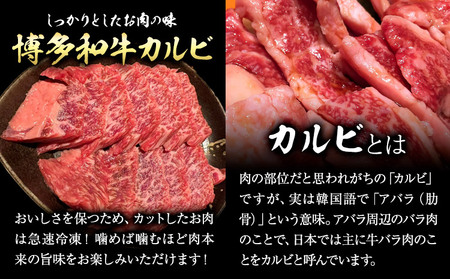 博多和牛 カルビ 並 500g 株式会社寛大グループ 《30日以内に出荷予定(土日祝除く)》 肉 福岡県 小竹町 にく