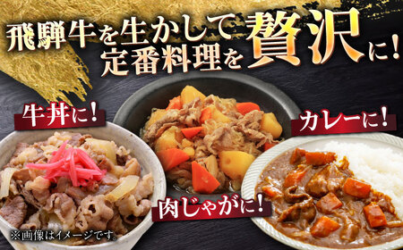 【6回定期便】 飛騨牛 切り落とし 250g×2パック 計500g 等級 部位お任せ すき焼き 鍋 スライス 牛肉 岐阜市 / だるまミート[ANBE015]
