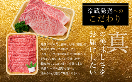 飛騨牛づくし定期便 10回 2人前 定期便 