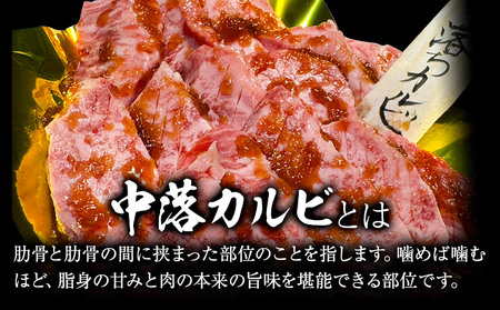 博多和牛 自家製 タレ漬け 中落 カルビ 500g 株式会社寛大グループ《30日以内に出荷予定(土日祝除く)》カルビ 肉 福岡県 小竹町 にく 中落ち 焼肉 赤身 真空パック
