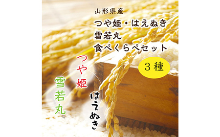 《先行予約 2026年8月発送開始》 山形県の至高！ 山形県厳選 新米・フルーツ定期便 全3回 マスカット ぶどう ブドウ 葡萄 デザート フルーツ 果物 くだもの 果実 食品 山形県 FSY-2454