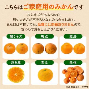 家庭用 温州みかん 7.5kg ※2026年11月中旬頃～12月下旬頃に順次発送予定 農家直送 / くだもの  果実  柑橘 果物 フルーツ 国産 和歌山県 由良町 ご家庭用 人気 おすすめ【nktn004-c-7d5】