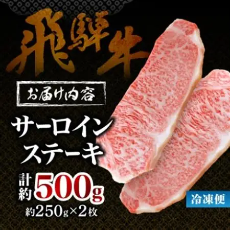 【飛騨牛】サーロインステーキ 2枚入り 計約500g (250g×2枚) 岐阜県産 黒毛和牛【配送不可地域：離島】【1420282】