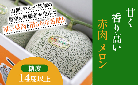 【2026年夏発送】富良野産 ヒグマのおくりもの(メロン)[2玉 計3.2kg以上] フルーツ 果物