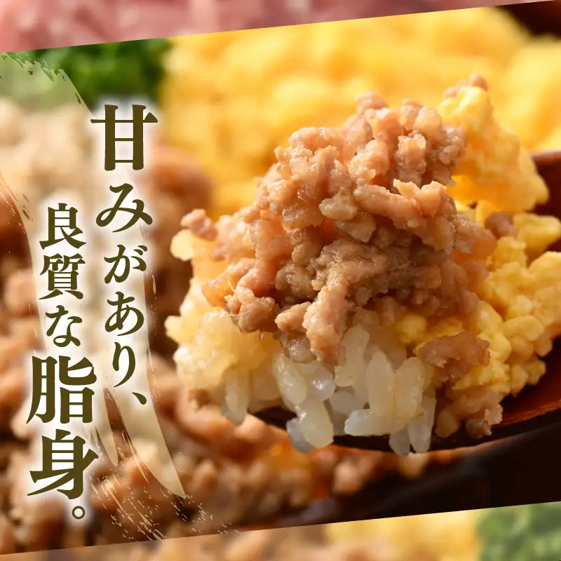 【ブランド豚】ふくいポーク 100％ ミンチ肉 500g  ひき肉  国産豚 [e02-a023]