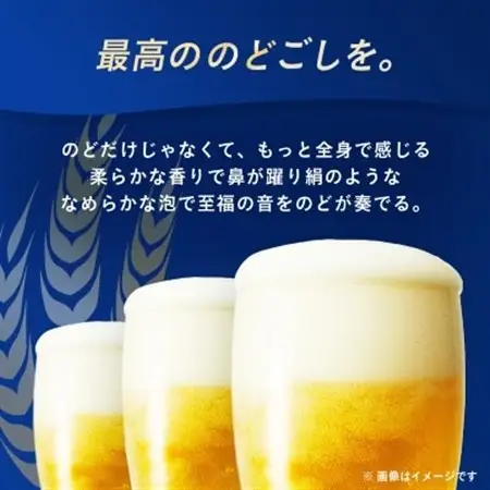 【毎月定期便】3ヵ月定期便!オリオンビール オリオン サザンスター(350ml×24本)全3回【4058872】