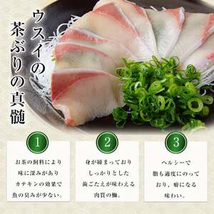 茶ぶりフィレ定期便 毎月 (全6回)  国産 鹿児島県産 ブリ 茶ぶり 鰤 海鮮 海産物 フィレ 魚介 魚 刺身 海鮮丼 産地直送 定期【ウスイ】usui-1603A