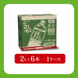【定期便6か月】お~いお茶濃い茶PET2L×6本 伊藤園