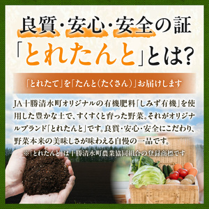 《令和8年産》産地直送アスパラ L・2L混合 2kg アスパラガス _S021-0011