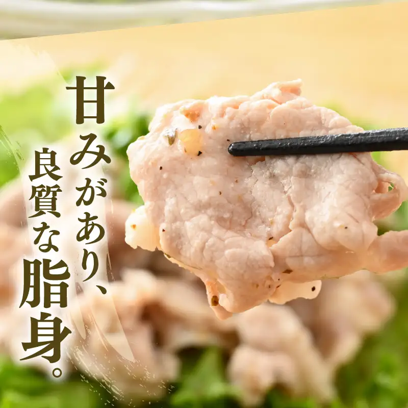 【ブランド豚】ふくいポーク 肩ロース薄切 900g 国産豚肉 冷凍 [e02-a029]