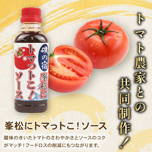 簡単 万能 調味料 3種 各300ml 沼津ブランド 認定品 ソース 煮汁 タレ たれ 中濃 ソース ウスター ソース 煮物 静岡県 沼津市
