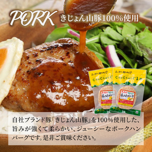 宮崎県産 ポークハンバーグ個包装(10個/冷凍)　K16_0163