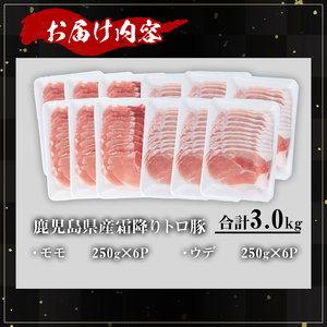 鹿児島県産 豚肉 霜降り トロ豚 赤身 スライス セット(合計3kg)【KNOT】 A563-v01