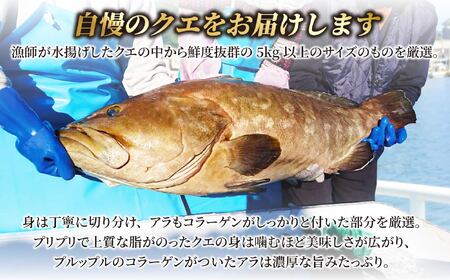 【 海鮮鍋 】 天然 クエ鍋セット 3〜4人前 くえ 鍋 A452