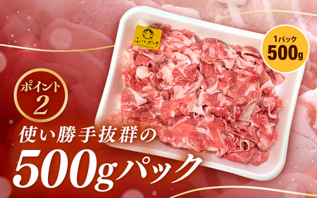 【ブランド豚】 ふくいポーク 切り落とし 500g  冷凍 国産豚肉 [e02-a030]