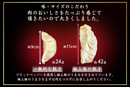 極上等級獲得の豚肉で作った拘りの肉餃子 20個　餃子
