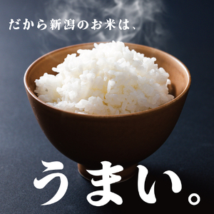 【数量限定】 令和7年産 コシヒカリ 玄米 精米 特別栽培  5㎏  D52_03