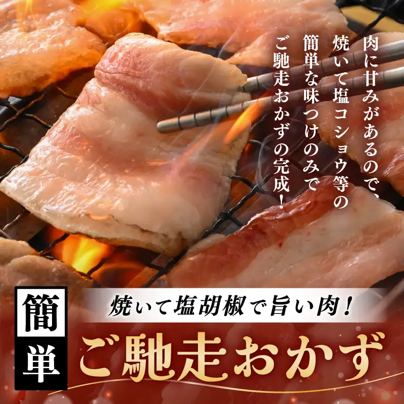【ブランド豚】ふくいポーク 豚バラ焼肉 600g（300g × 2パック）国産肉 冷凍 [e02-a033]