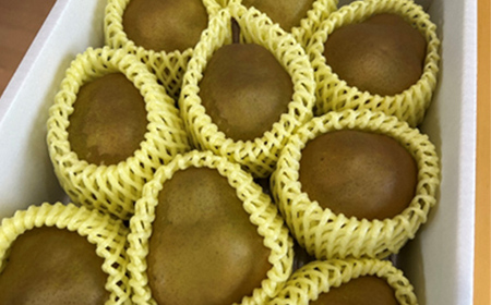 山形県産 厳選ラ・フランス 特秀品 3kg 化粧箱（8～10玉入り）《先行予約2026年11月発送開始》 なし ナシ 梨 デザート フルーツ 果物 くだもの 果実 食品 山形県 FSY-2713