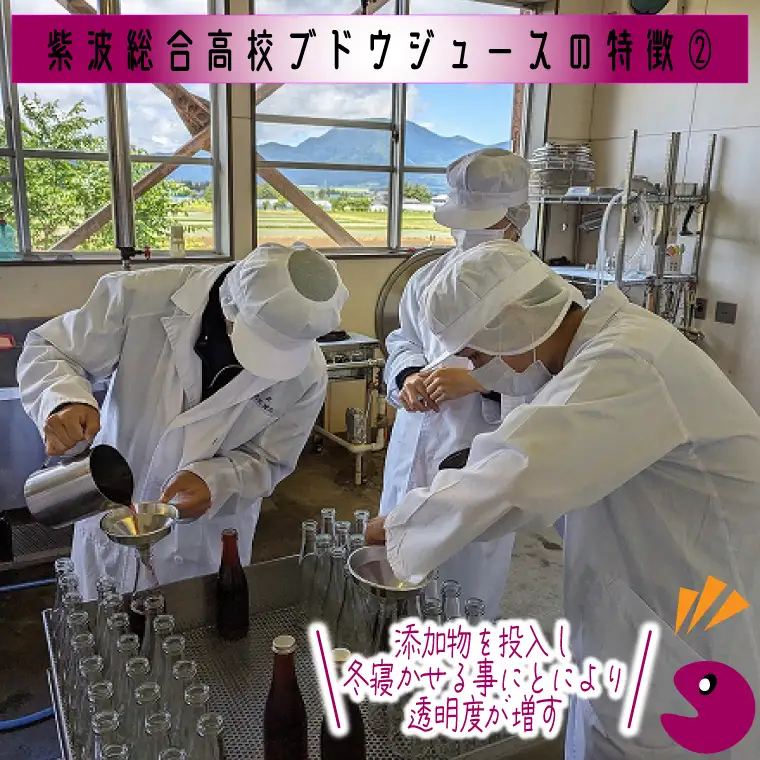高校生が作りました！ 紫波町産ぶどうジュース 300ml 4本入り(EC002)ジュース 