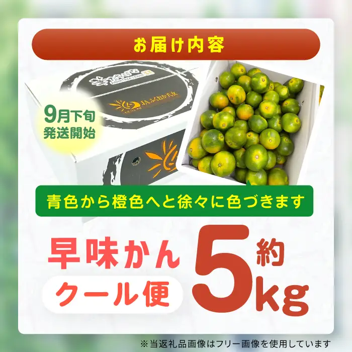 【★先行予約★ 2026年9月下旬より発送】早味かん 約5kg / みかん 蜜柑 果物 フルーツ[AFAB075]