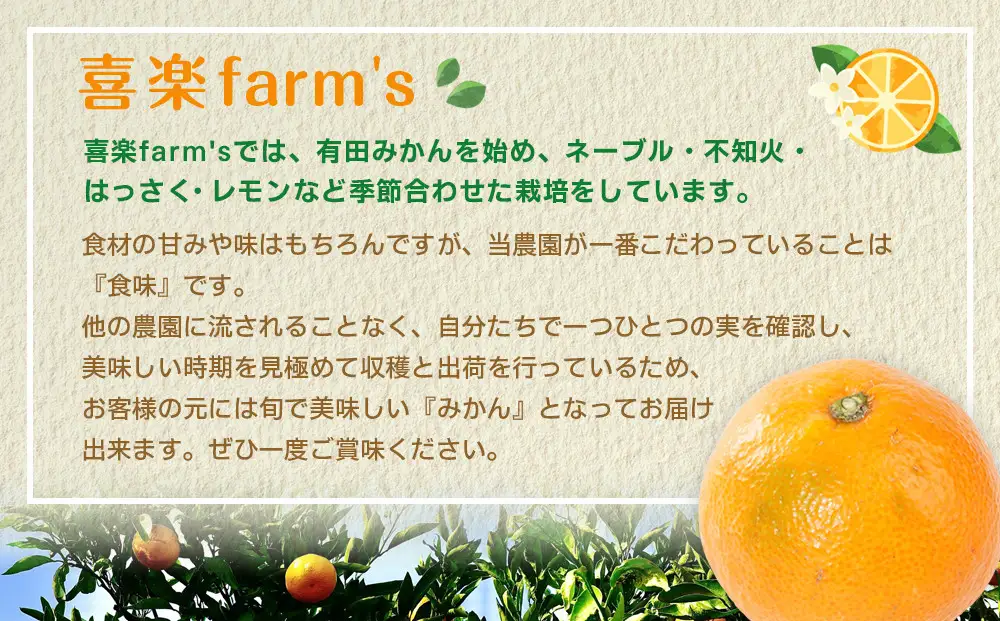 産地直送 有田みかん サイズ 不揃い 約3kg 喜楽farms 【2026年11月以降順次発送】