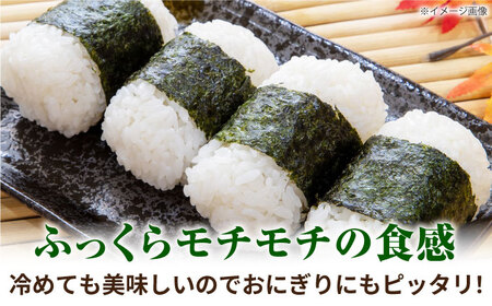 にこまる米 5kg 【道の駅 水辺プラザかもと】[ZEG009]