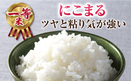 山鹿市産のお米食べ比べセット（ひのひかり・にこまる・森のくまさん）各2kg 【道の駅 水辺プラザかもと】[ZEG013]