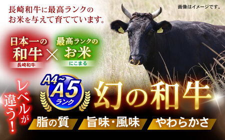 【特Aのブランド米で育てた】諫美牛 切り落とし 500g(250g×2) / 牛肉 ぎゅうにく 和牛 牛 肉 国産 切り落とし 切り落し 切りおとし / 諫早市 / 株式会社土井農場 [AHAD090]