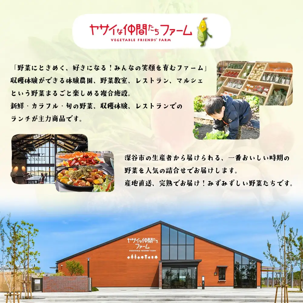 季節のカラフルなヤサイBOX（8～10種類）　【11218-0770】