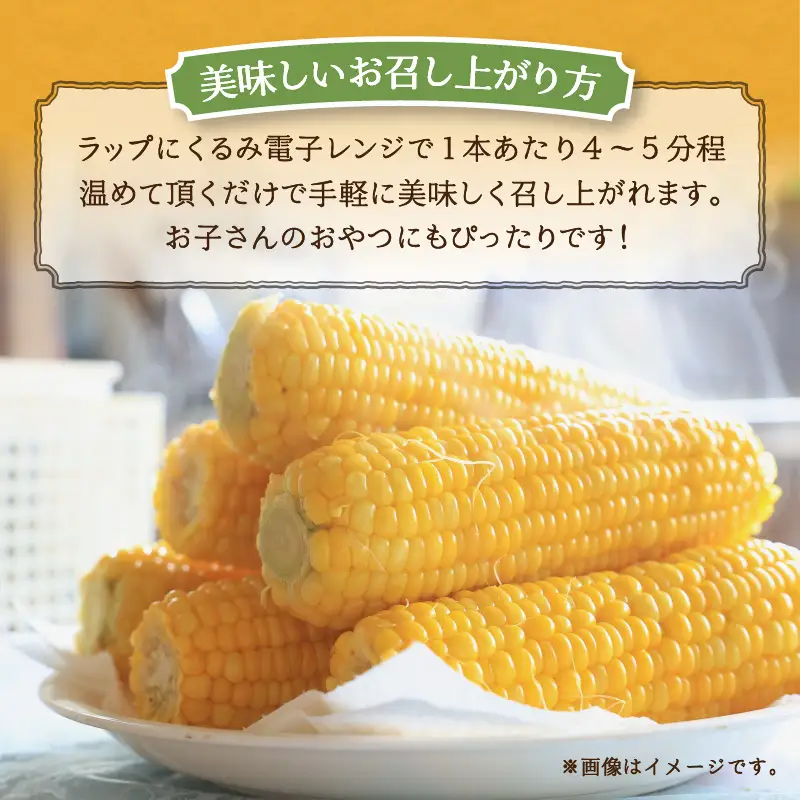 〈2026年度配送分〉とうもろこし「ゴールドラッシュ」 6本（2026年6月上旬～下旬にかけて順次配送予定）