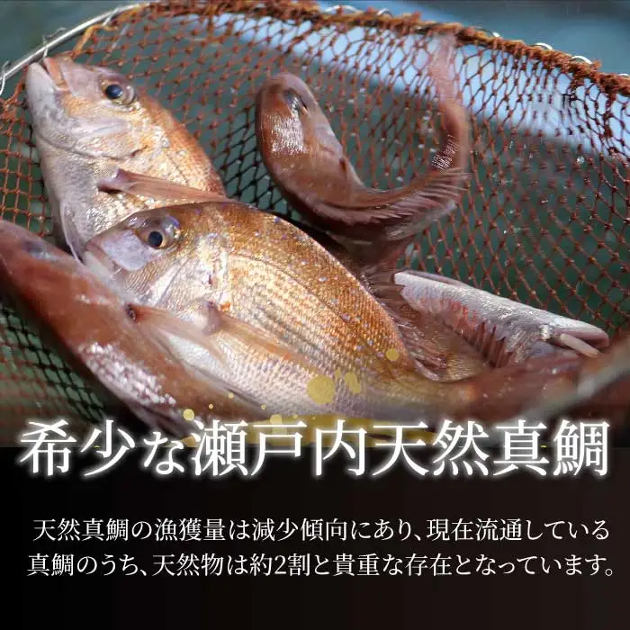 瀬戸内産 鮮魚 地魚詰め合わせ（3～5種類）瀬戸内の天然鯛入り/ 地魚 鯛 天然鯛 真鯛 天然 鮮魚 下処理済 瀬戸内 広島県 三原市　154003