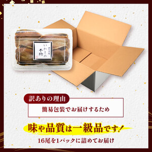 訳あり いわし 干物 16尾 天日干し 冷蔵