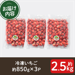 No.1183 冷凍いちご(計約2.55kg・約850g×3P) 国産 九州産 苺 いちご イチゴ 冷凍 果物 フルーツ 減農薬 アイス【片平観光農園】