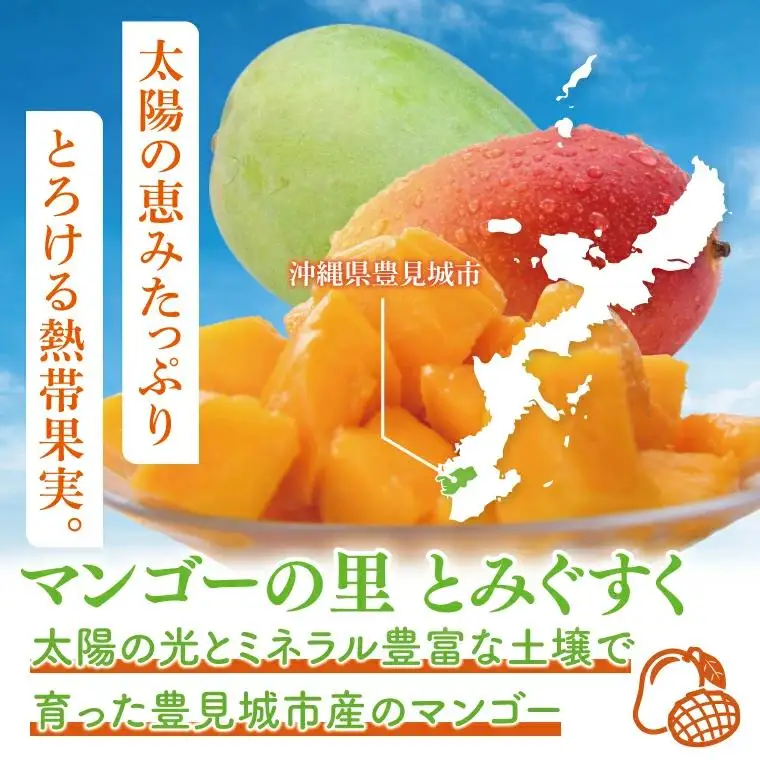 菜々色畑のキーツマンゴー 2～3玉(約2kg)【化粧箱】
