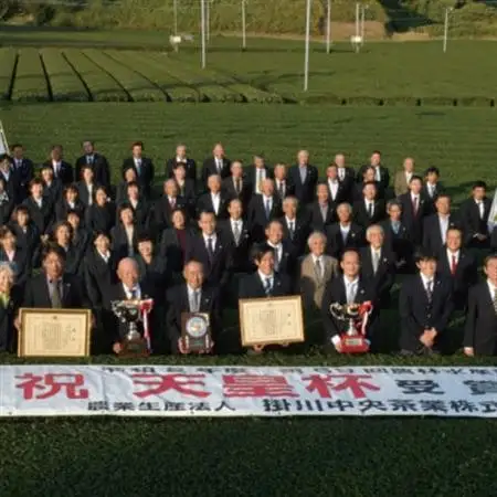 天皇杯受賞生産者の深蒸し掛川茶 80g×4本入【配送不可地域：離島・沖縄県】【1317189】