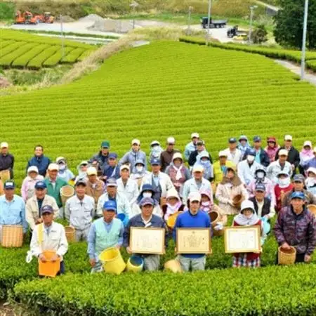 iTQi国際味覚コンクール優秀味覚賞受賞茶　かごよせティーバッグ7袋セット【配送不可地域：離島・沖縄県】【1311733】