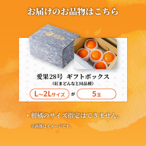 愛果28号 (紅まどんな と同品種) ギフトボックス Lから2Lサイズ 5玉 贈答用 A品 秀品 【2026年11月下旬より順次発送】 | あいか 紅まどんな 紅マドンナ と 同品種 愛媛みかん みかん ミカン mikan お取り寄せ 産地直送 数量限定 人気 おすすめ 愛媛県 松山市 蓮果園 【RNK0141】