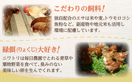 【全3回定期便】平飼いニワトリの有精卵！ほんまの卵定期便 計90個（30個×3回） / 佐賀県 / 本間農園 [41AJAA020]
